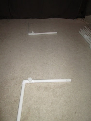 pic19