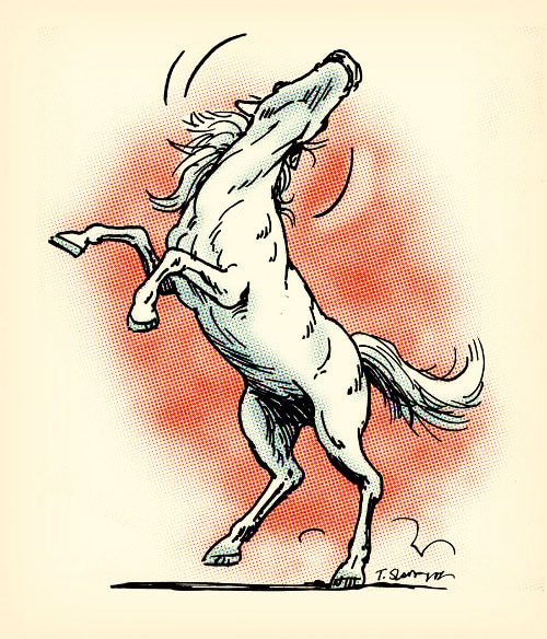 Illustration of wild white horse bucking with anger.