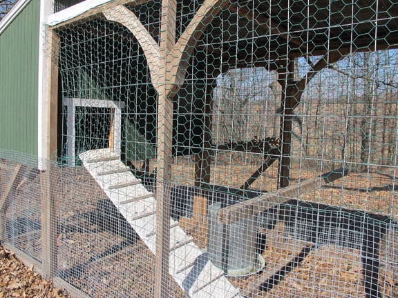 Wire mesh enclosure to protect from predators.