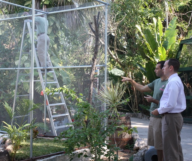A Foreign Service Officer and a diplomat standing next to a cage in a garden.