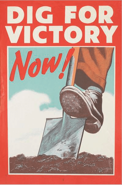 Vintage gardening poster 1950s dig for victory now.