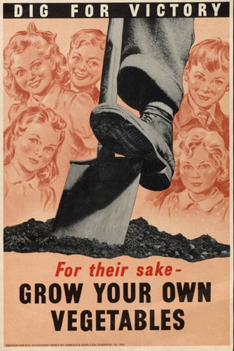 Vintage gardening poster 1950s grow your own.