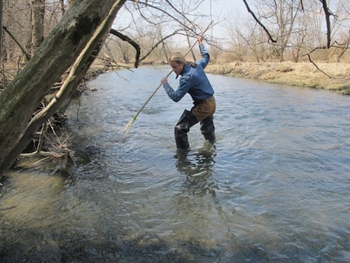 A small man wading through a river with a stick, utilizing a primitive small game hunting gig.