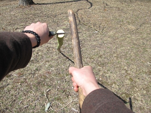 Vintage men holding knife and cutting sapling.