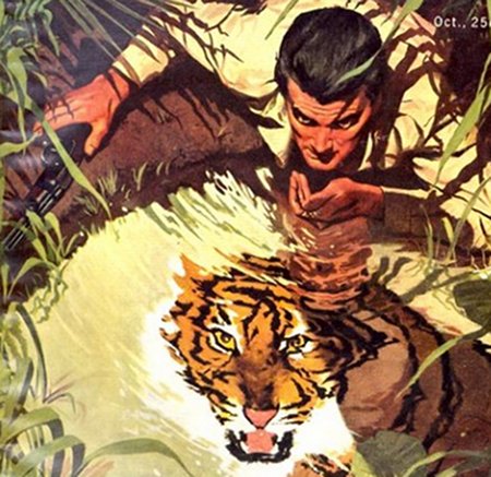 Vintage illustration man lapping water from pond tiger looks on.