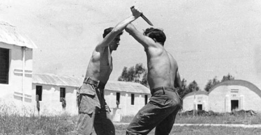 Two men, skilled in a Combative System, engage in a knife fight in a field.