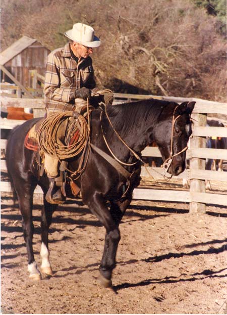 Old cowboy rancher riding at black horse.