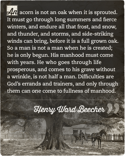 Henry ward beecher's quote about acorn oak fullness of manhood.