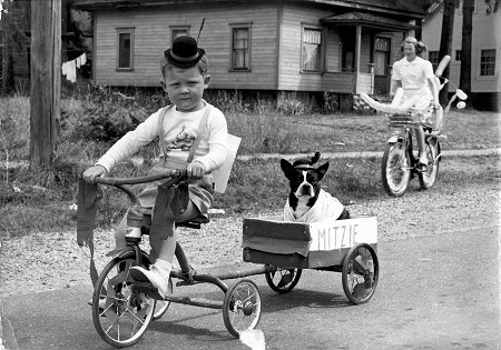 Vintage young boy riding tricycle with dog in wagon.