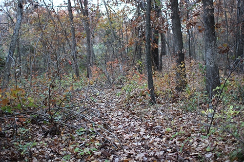trail11