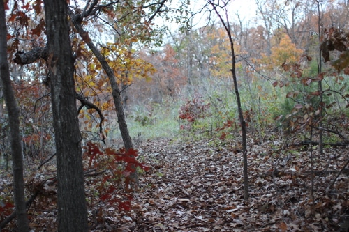 trail7