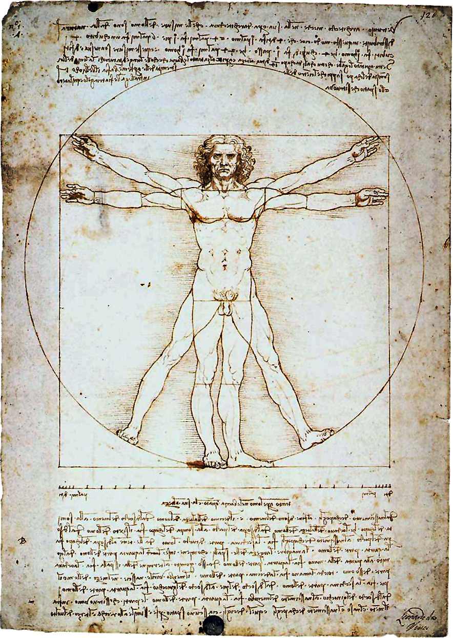 A Renaissance Man's drawing of the human body by Leonardo da Vinci.