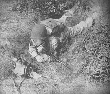 A WWII soldier laying in the grass with a rifle.