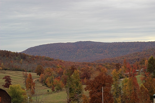 Horseshoe canyon ranch jasper Arkansas.