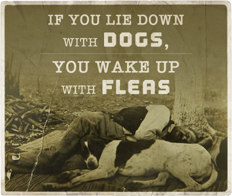 Lie down with dogs wake up with fleas aphorism.