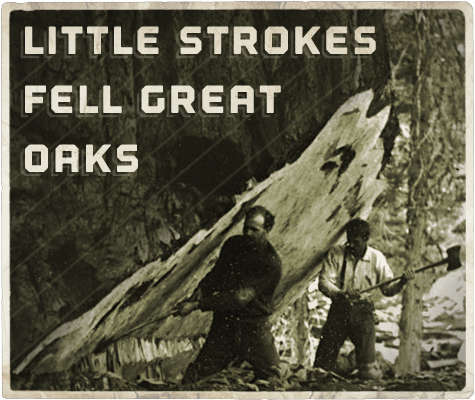 Little strokes fell great oak aphorism.