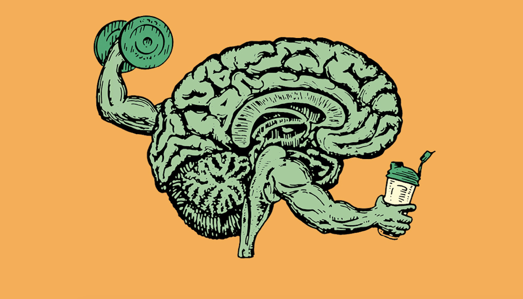 An image of a brain engaged in a training program with a dumbbell to strengthen its cognitive abilities.