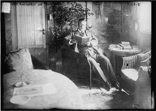 Theodore teddy roosevelt reading in study in chair.