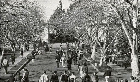 Black and white photo of a crowd of people in a park, showing everyone enjoying a college outing.