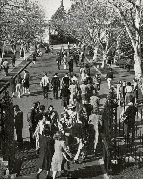 Black and white photo of a crowd of people in a park, showing everyone enjoying a college outing.