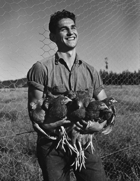 Vintage man farmer holding bunch of chickens in arms.