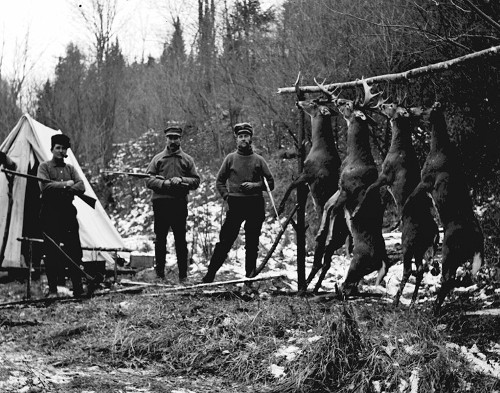 Three vintage men hunters standing outside tent with dead deer hanging branch in a forest. 