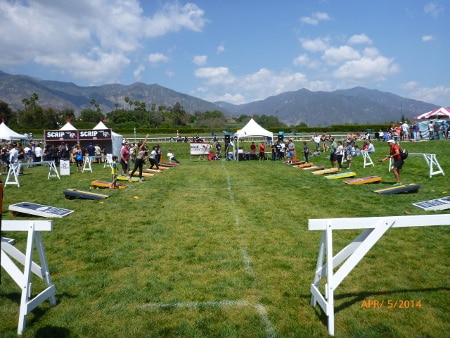 A view of horse riding stadium.