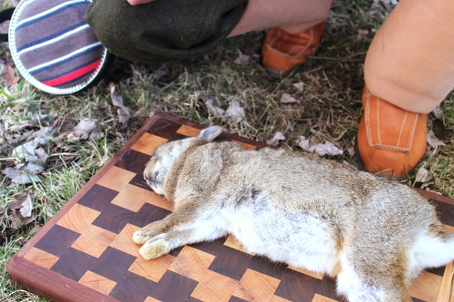 A dead rabbit on cutting board surface.