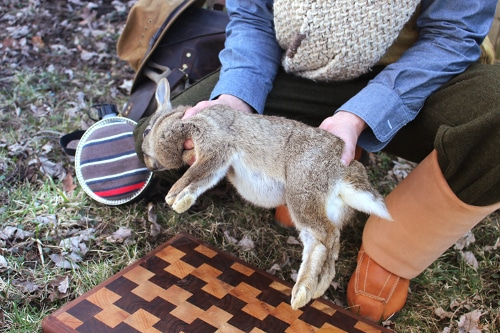 Man holding a rabbit in hands.