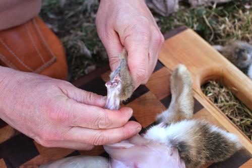 Man cutting off rabbit feet and knees with hands.