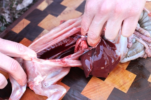 Man cutting off the top layer of the chest cavity of rabbit.