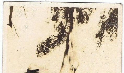 An old photo of a man field dressing a deer.