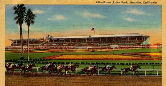 An old postcard captures a thrilling horse race at a race track, where the excitement of gambling and the lively gathering of races enthusiasts fill the air.
