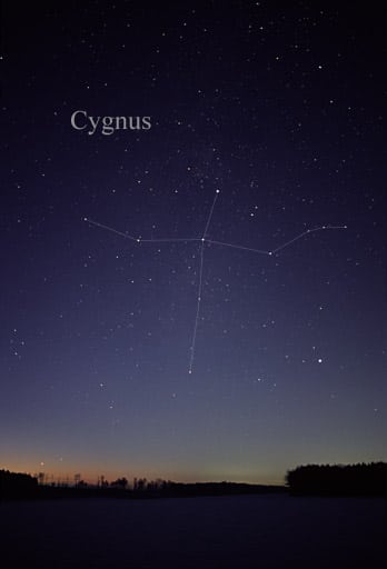Representation of Cygnus on sky.