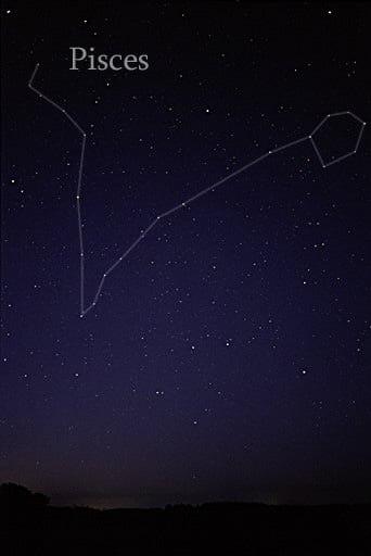 Representation of Pisces on sky.