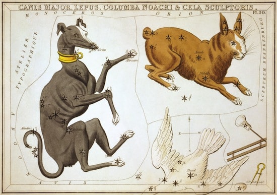 Dog, rabbit and bird representing zodiac signs.