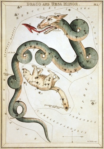 Draco and small bear representing zodiac sign.