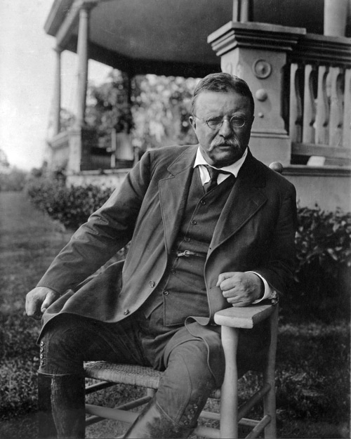 Teddy Theodore sitting on chair in house lawn.
