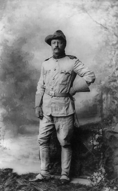 Teddy Theodore in military uniform illustration. 