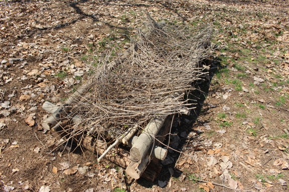 Survival shelter bed cover with branches.