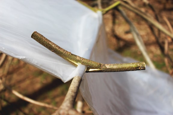 Clips are used for making shelter bed.