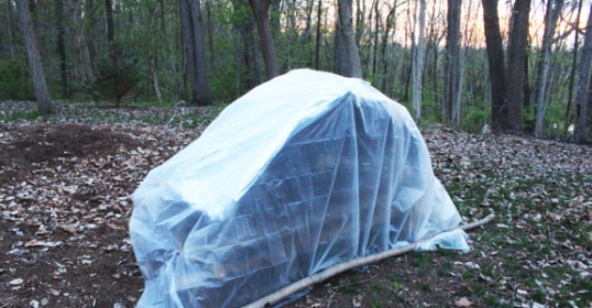 An ultimate survival shelter built in the woods, covered in plastic.