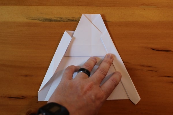 Fold the wings in again, this time so the outside edges meet.