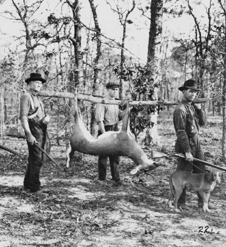 Vintage hunters carrying deer in forest. 