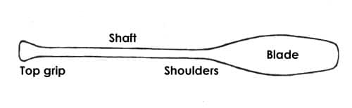 Canoe paddle anatomy illustration. 