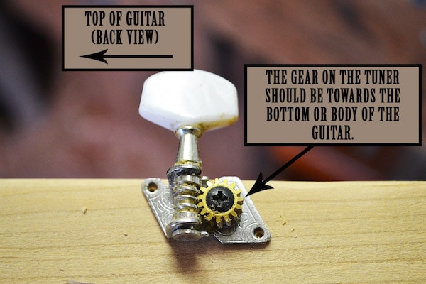 A back view of cigar box and gear tuner.