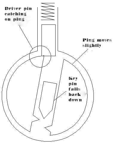 Anatomía del pasador conductor de la cerradura de bombillo con etiquetado.