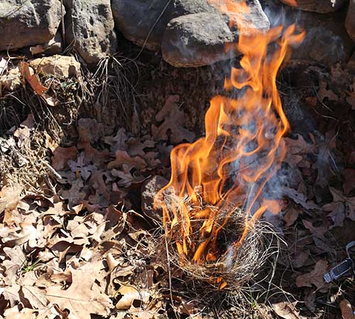 Burning tinder bundle under a teepee of twigs.