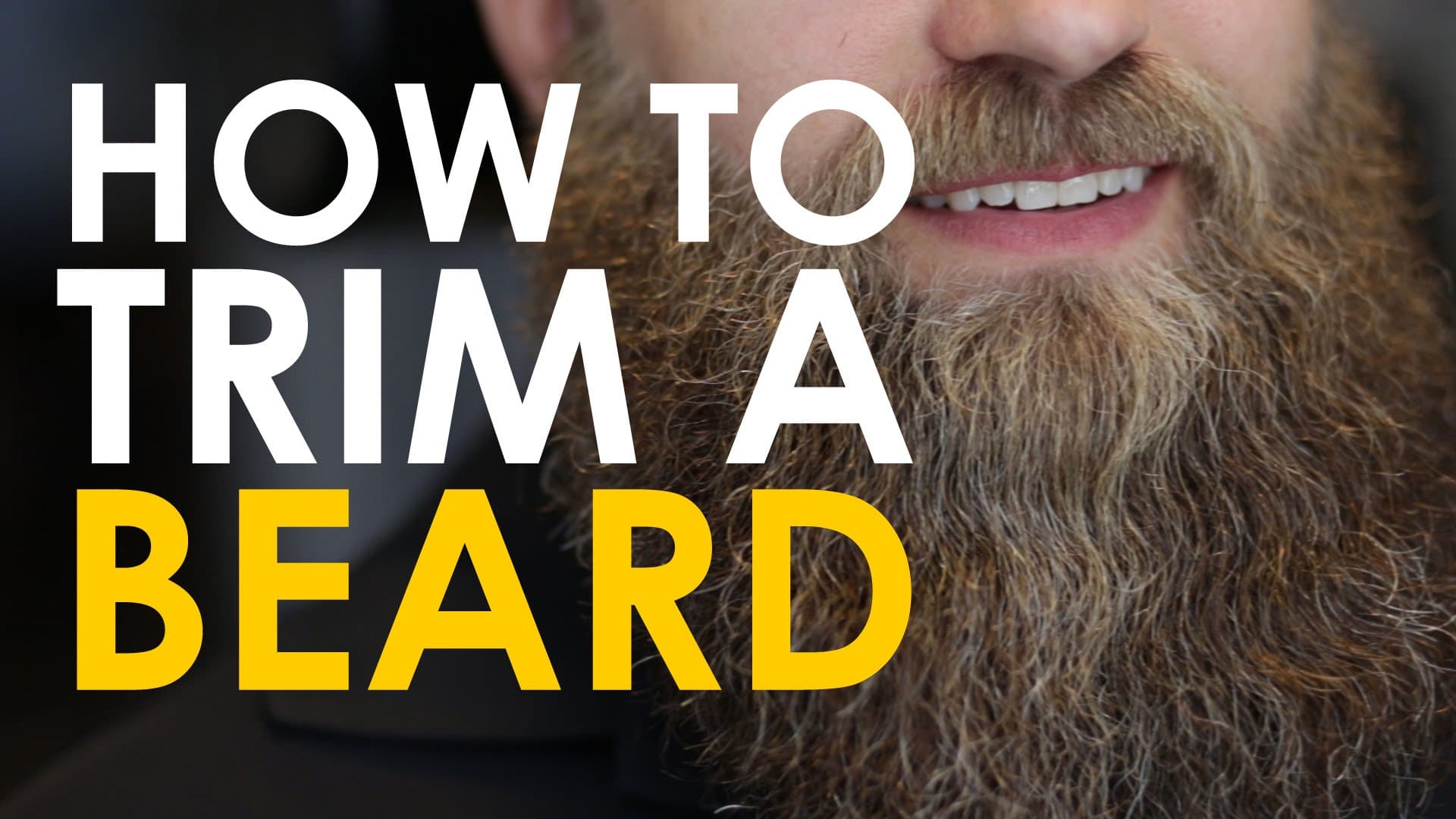 Beard Grooming 101 - The Complete Guide to Grooming Beards - Cremo