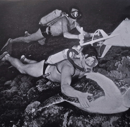 Vintage men diving with giant turtle. 